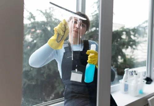Nettoyage de vitres intérieures et extérieures à Champsevraine